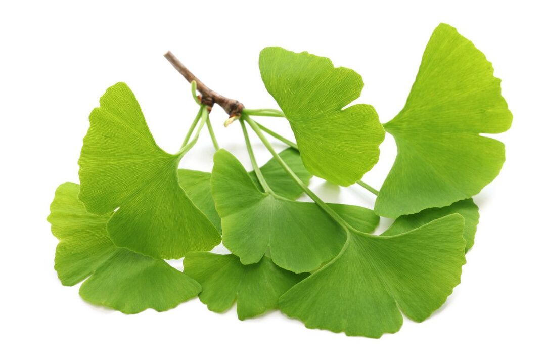 ginko biloba cseppekben Alcozar